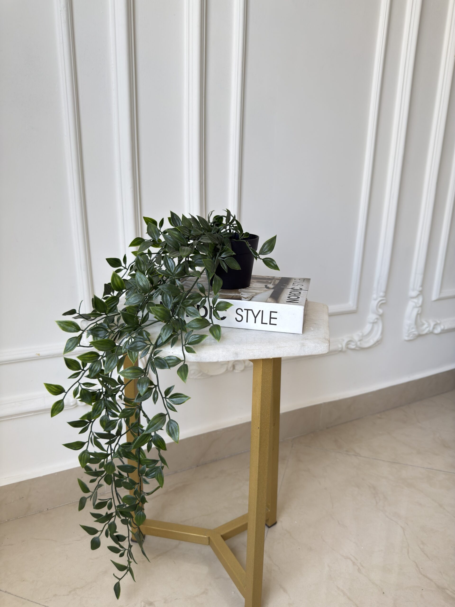 Small plant