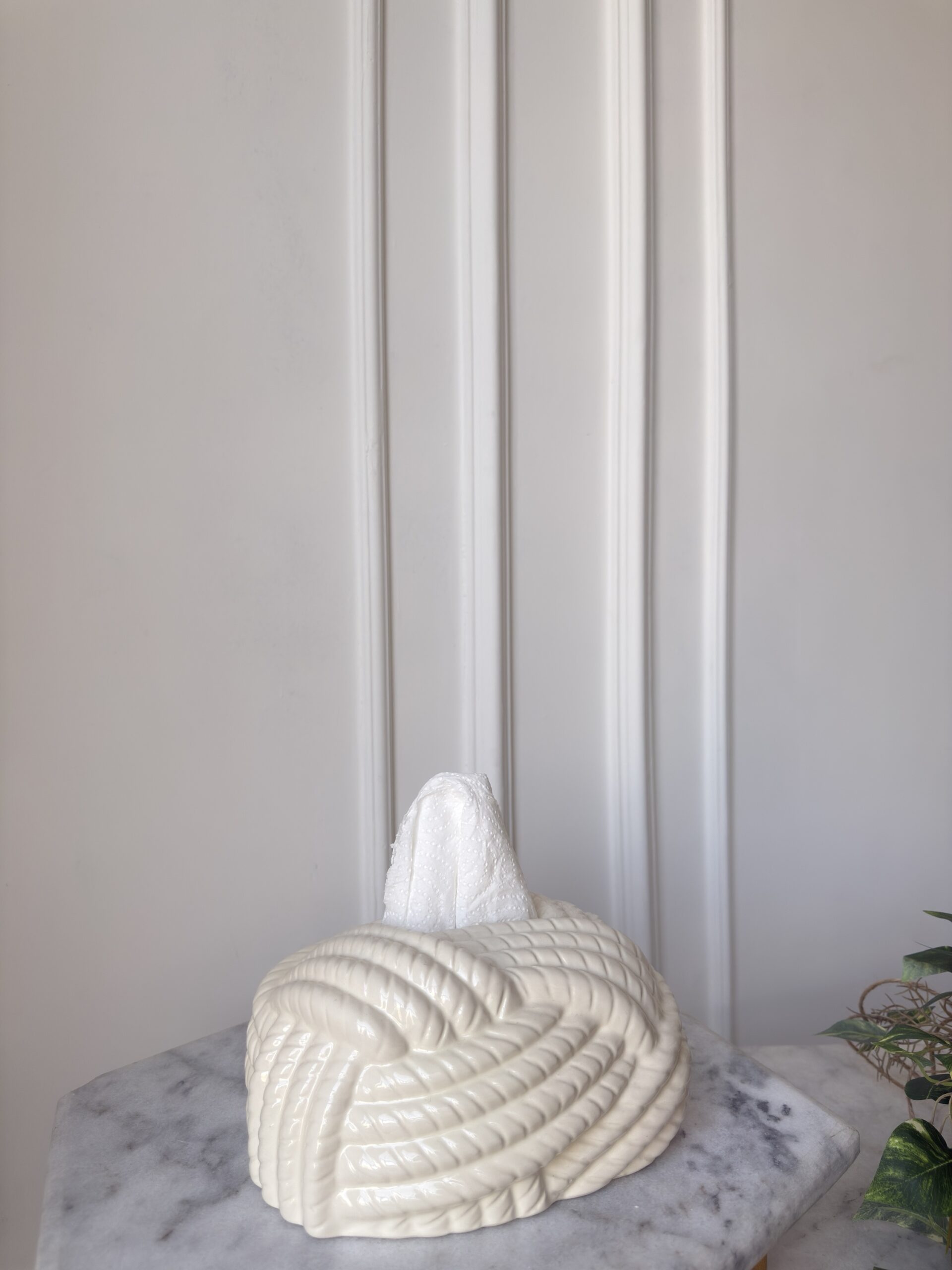 Ceramic tissue box